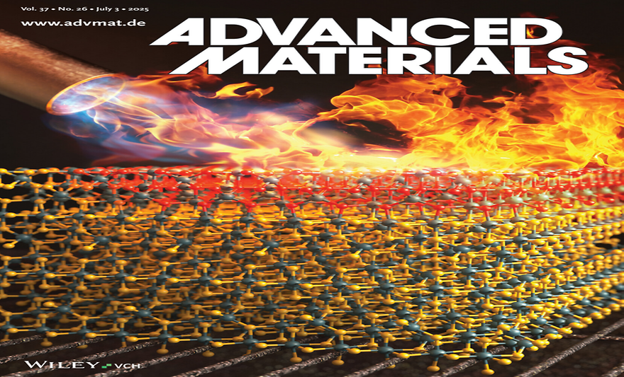 조인선 교수팀, 불꽃 활용한 표면처리 기술 개발.. 친환경 수소 생산 효율↑